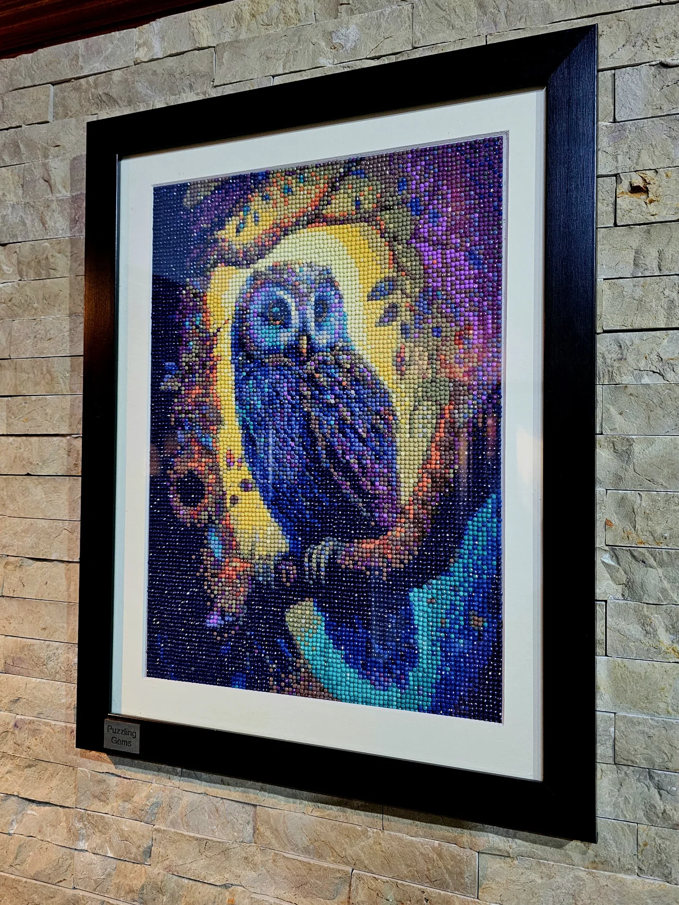 Colorful owl ready-made diamond painting artwork